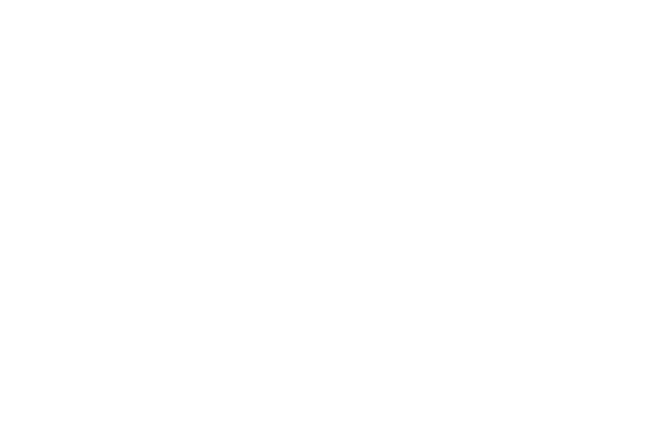 Speed