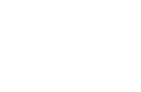 Flash
