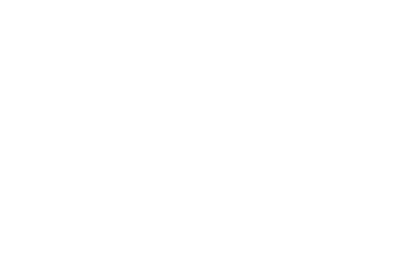 Bricks